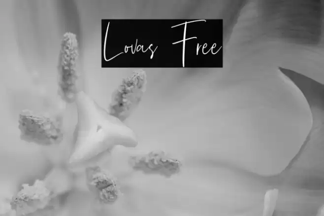 Lovas Free Font examples