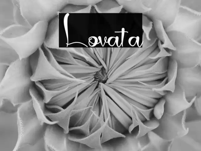 Lovata Font examples