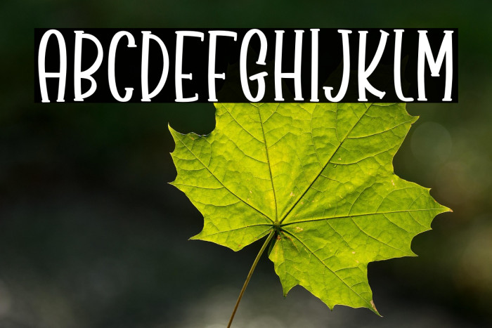 Love Amanda Example 2