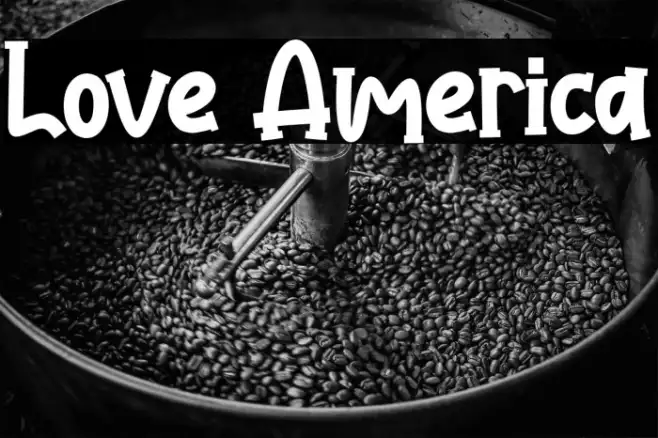 Love America Example 2
