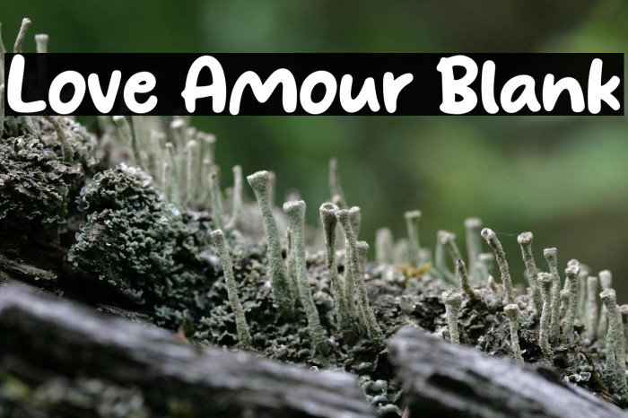 Love Amour Blank Example 1