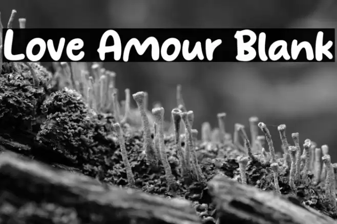 Love Amour Blank Caratteri examples