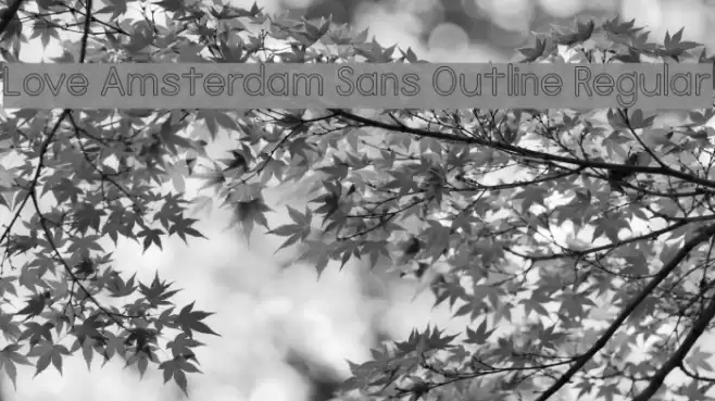 Love Amsterdam Sans Outline Regular Polices examples