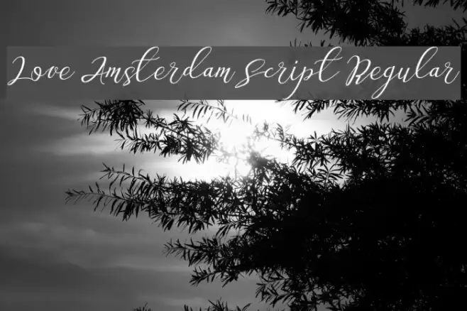 Love Amsterdam Script Regular Font examples