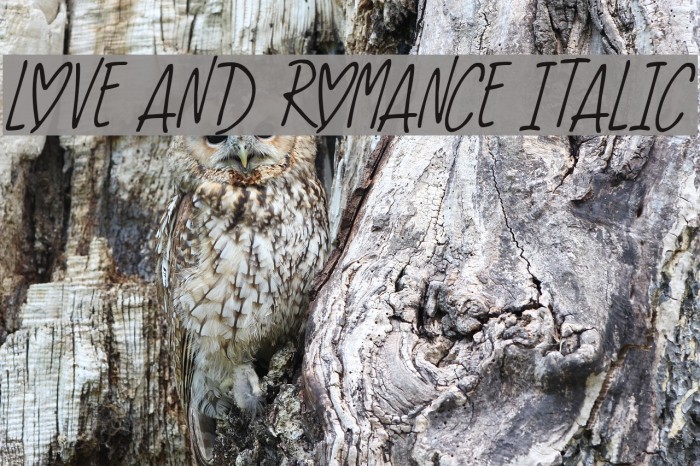 Love And Romance Italic Font examples
