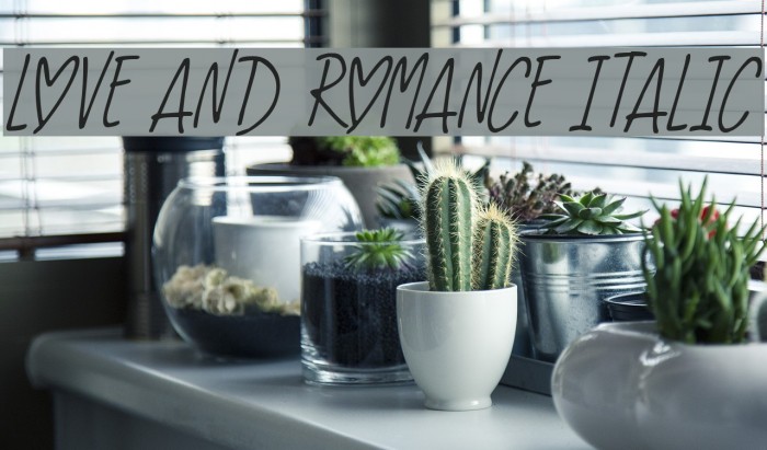 Love And Romance Italic Font examples