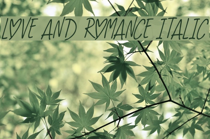 Love And Romance Italic Font examples