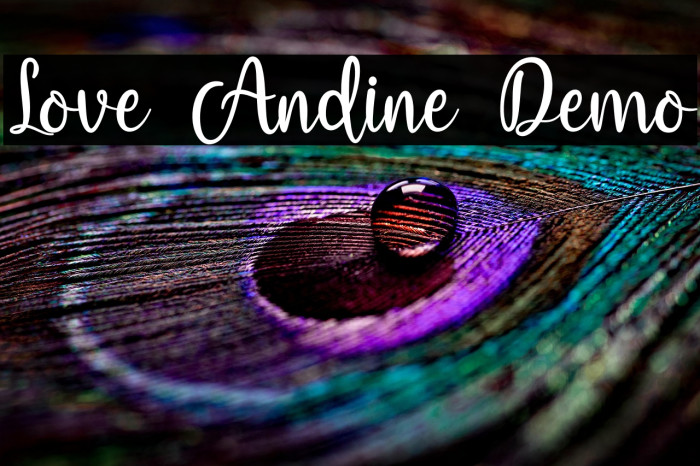 Love Andine Demo Example 2