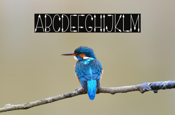 Love Arrow Example 3