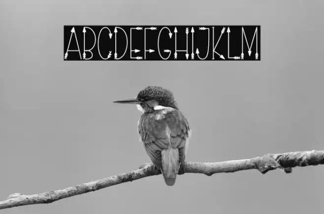 Love Arrow Example 3