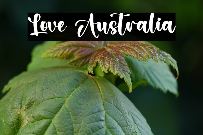Love Australia Example 3