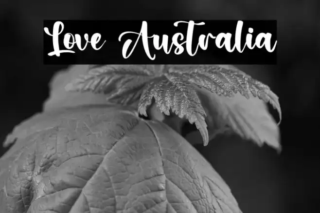 Love Australia Example 3