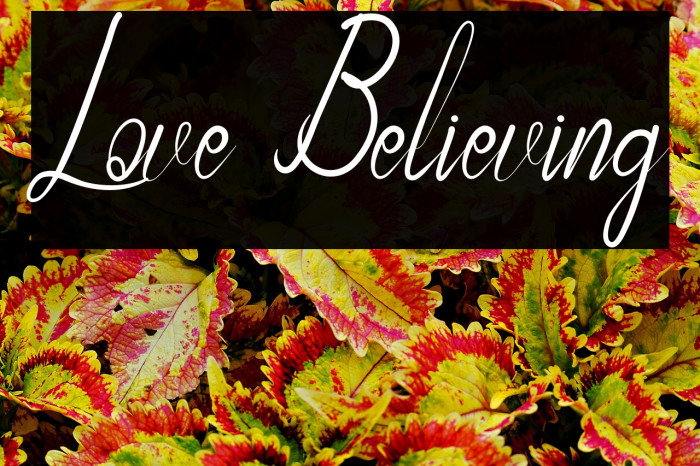 Love Believing Example 2