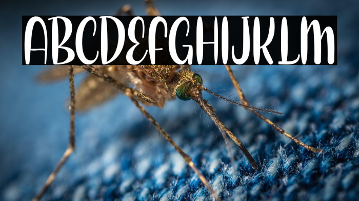 Love Berry Example 3