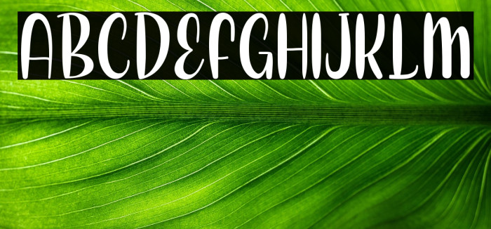 Love Berry Example 3