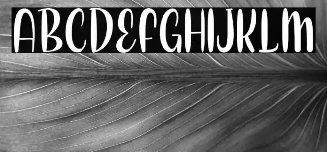 Love Berry Font examples