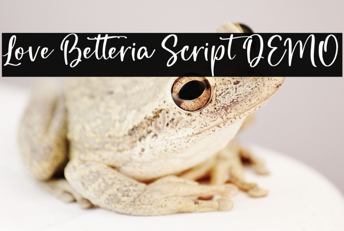 Love Betteria Script DEMO Example 2
