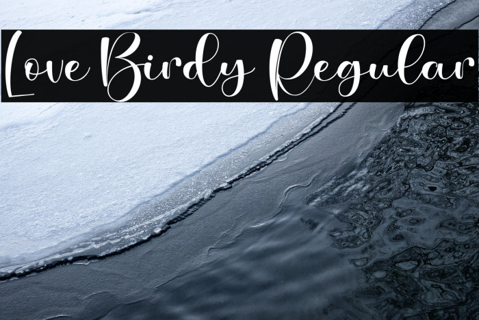 Love Birdy Regular Example 1