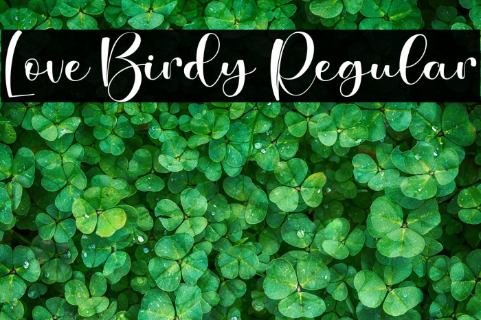 Love Birdy Regular Example 2