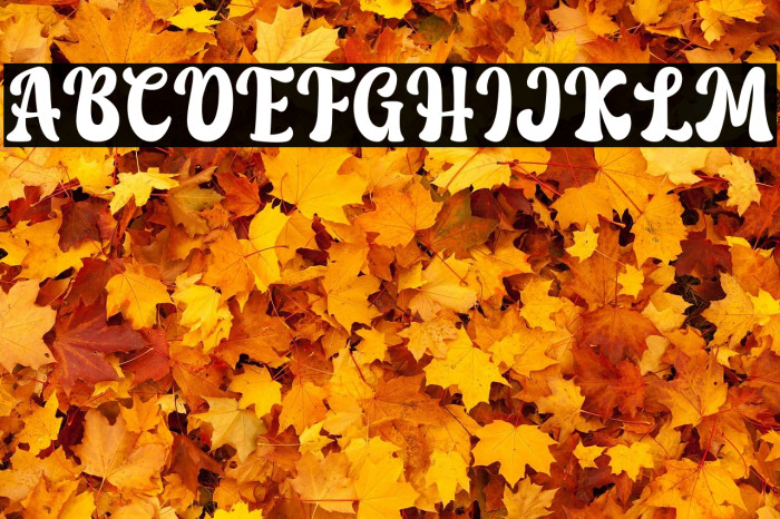 Love Bohemian - Personal Use Example 2