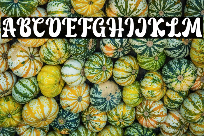 Love Bohemian - Personal Use Example 3