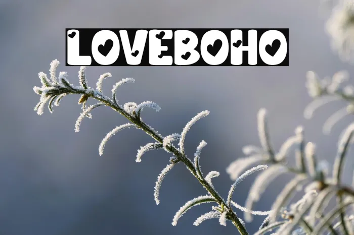 Love Boho Example 1