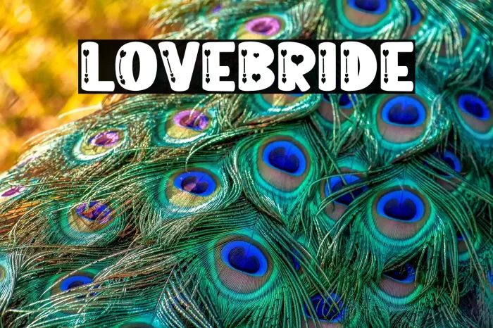 Love Bride Example 1