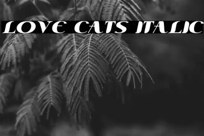 Love Cats Italic Font examples