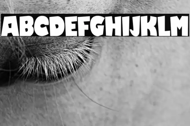 Love Comic フォント examples