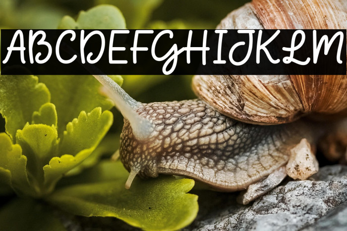 Love Cookies Example 3