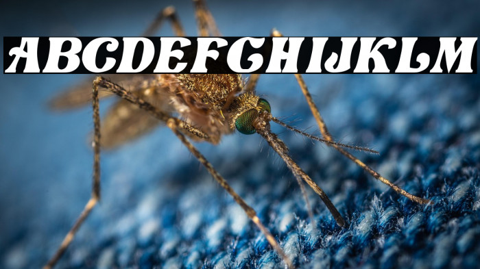 Love Craft Italic Example 2