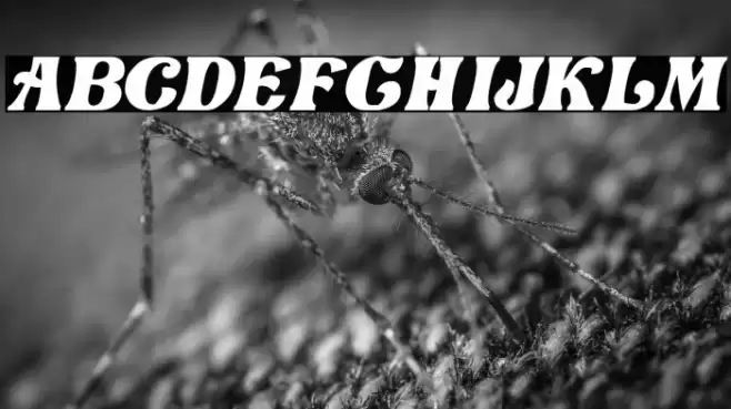 Love Craft Italic Font examples