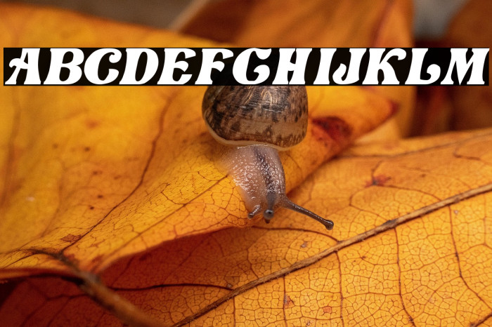 Love Craft Italic Example 3