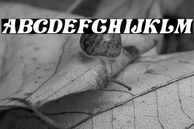 Love Craft Italic Font examples