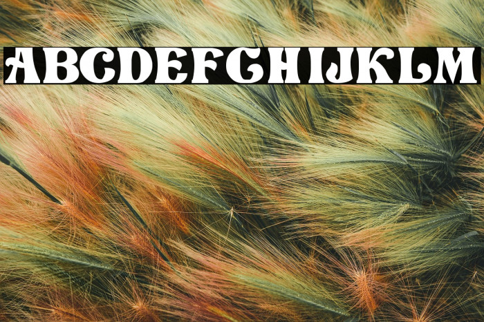 Love Craft Example 1