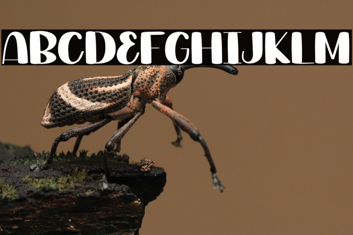 Love Daddy Example 1