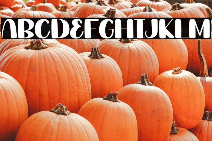 Love Daddy Example 2