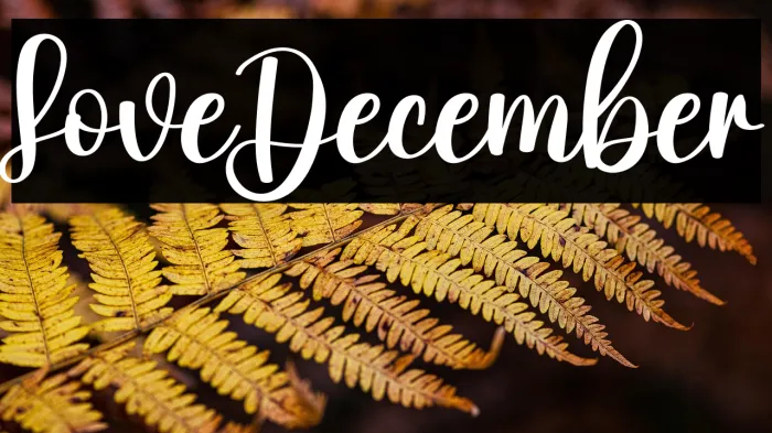 Love December Example 3