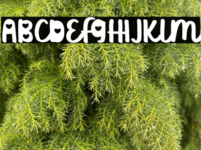 Love Drama Example 3