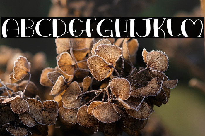 Love Everywhere Example 1