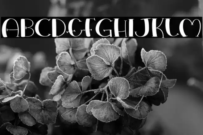 Love Everywhere Font examples