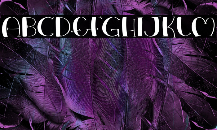 Love Everywhere Example 2