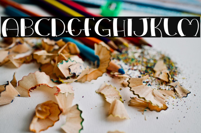 Love Everywhere Example 3