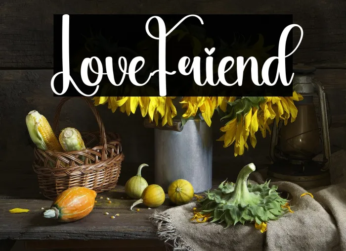 Love Friend Example 1