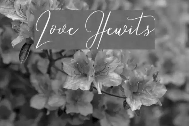 Love Hewits Font examples