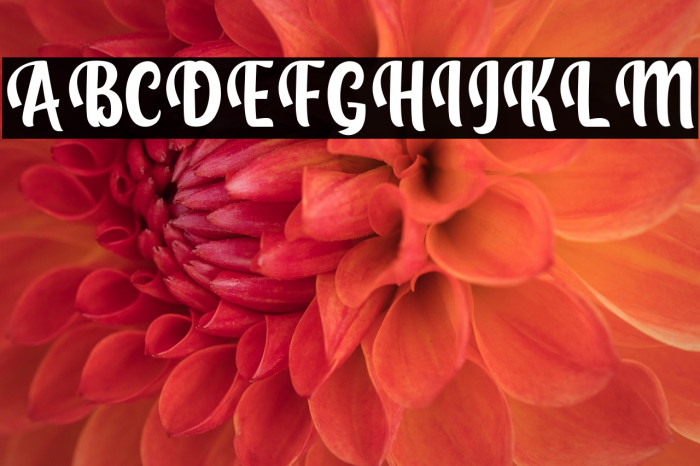 Love Hunter Example 3