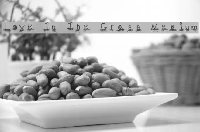 Love In The Grass Medium Font examples