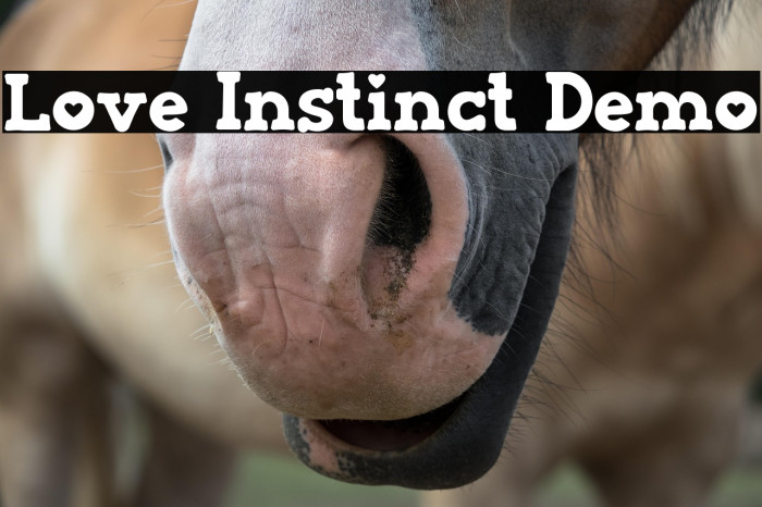 Love Instinct Demo Example 2