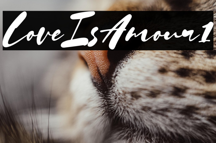 Love Is Amour1 Example 1