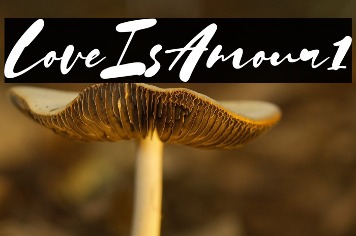 Love Is Amour1 Example 3